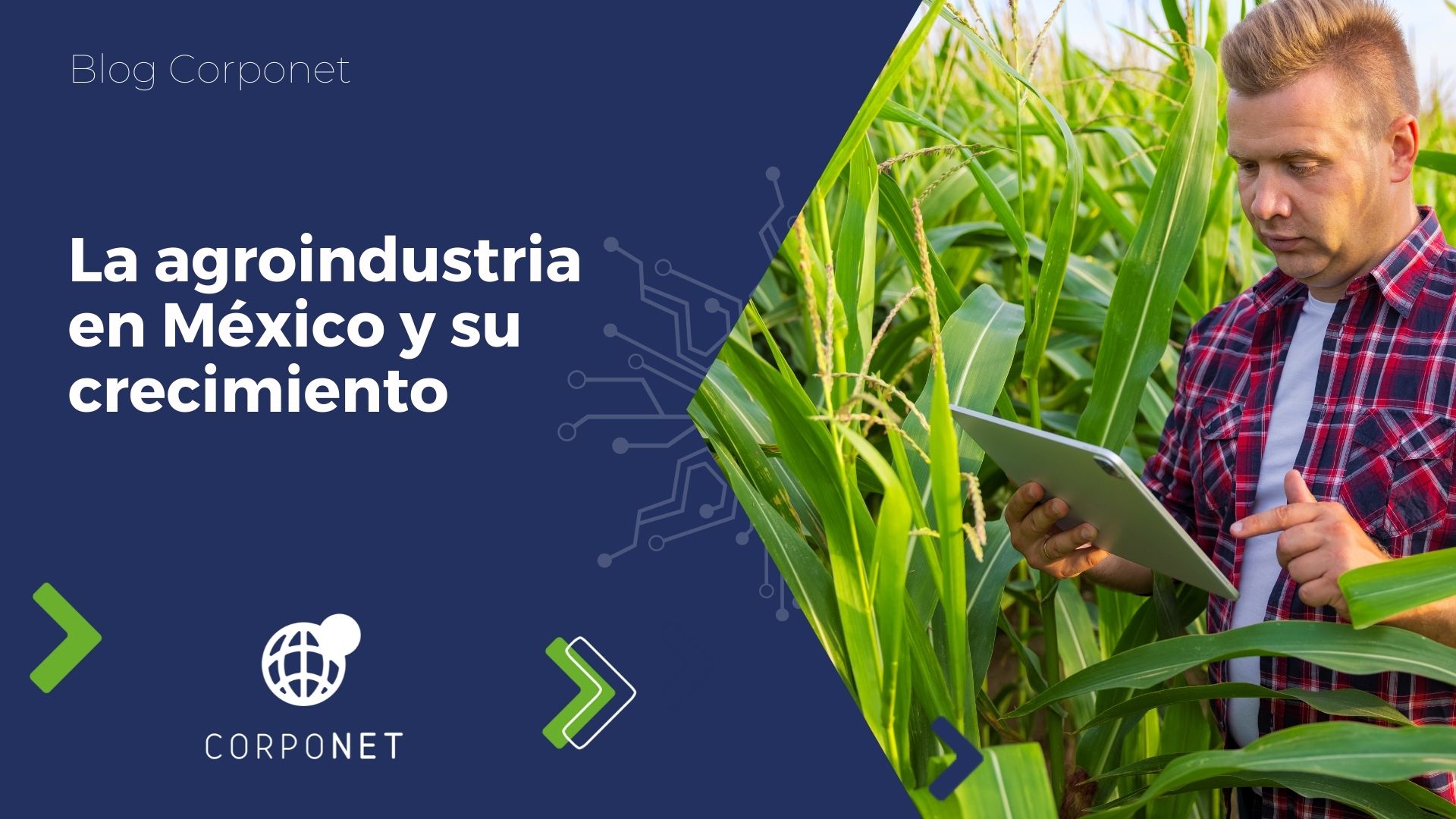 La Agroindustria En México Y Su Crecimiento